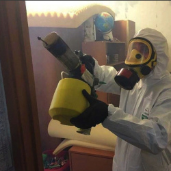 Уничтожение клопов в квартире. Торопец